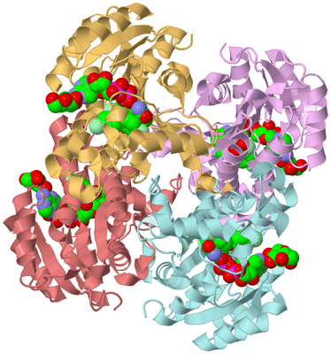 Image Biological Unit 2