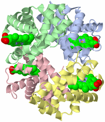 Image Asym./Biol. Unit