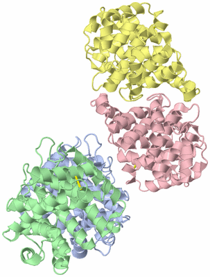 Image Asymmetric Unit