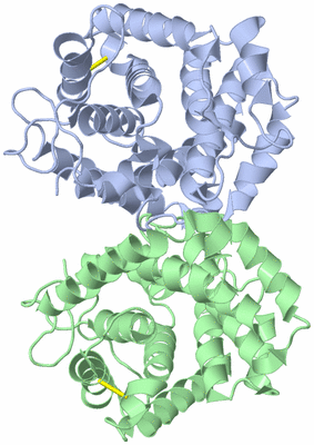 Image Biological Unit 1