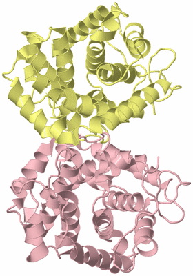 Image Biological Unit 2