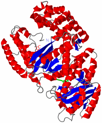 Image Asym./Biol. Unit