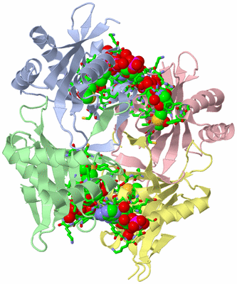 Image Biol. Unit 1 - sites