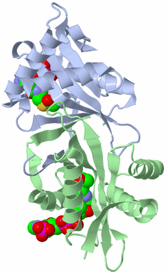 Image Biological Unit 3