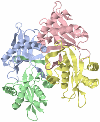 Image Biological Unit 1