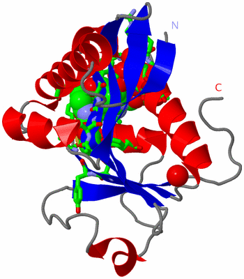 Image Asym./Biol. Unit - sites