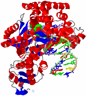 Image Asym./Biol. Unit