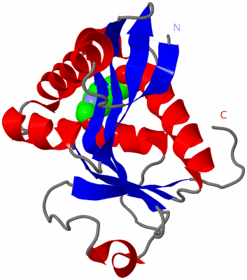 Image Asym./Biol. Unit