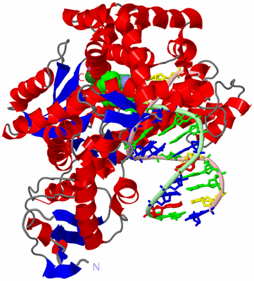 Image Asym./Biol. Unit