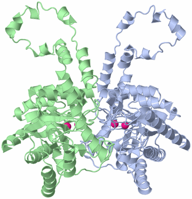 Image Asymmetric Unit
