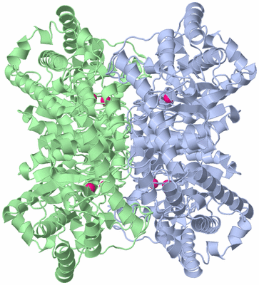 Image Biological Unit 1