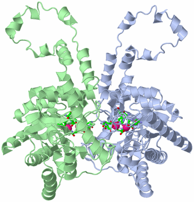 Image Asym. Unit - sites