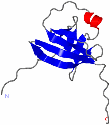 Image NMR Structure - model 1