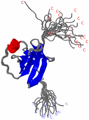 Image NMR Structure - all models
