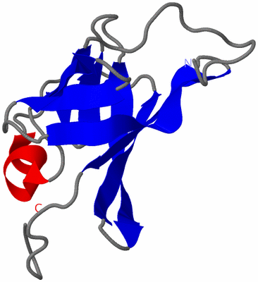 Image NMR Structure - model 1