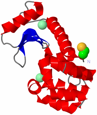 Image Asym./Biol. Unit