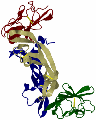 Image Biological Unit 2