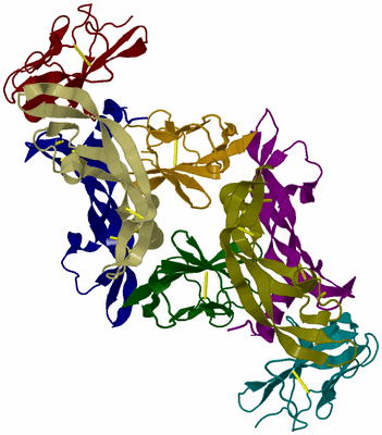 Image Biological Unit 3