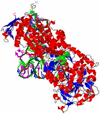 Image Asym./Biol. Unit