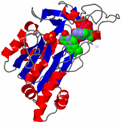 Image Asym./Biol. Unit