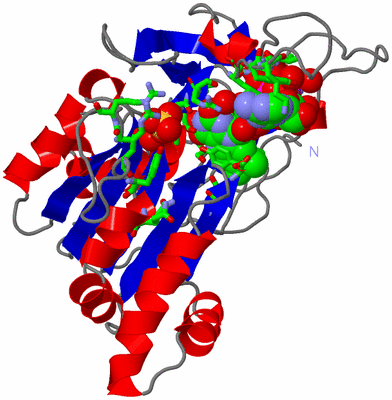 Image Asym./Biol. Unit - sites