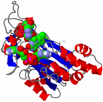 Image Asym./Biol. Unit