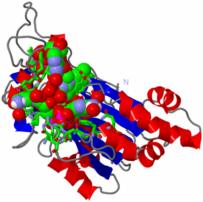 Image Asym./Biol. Unit - sites