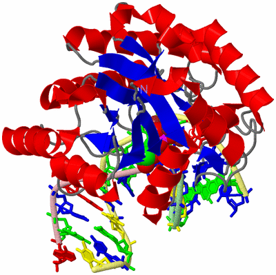 Image Asym./Biol. Unit