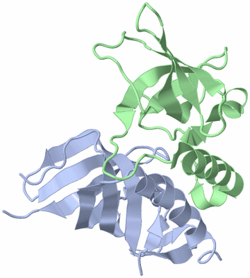 Image Biological Unit 3