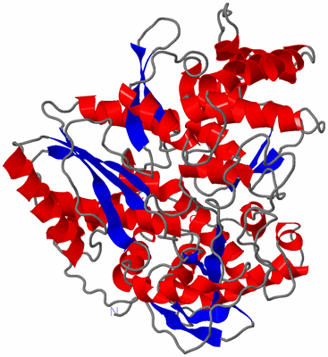 Image Asym./Biol. Unit