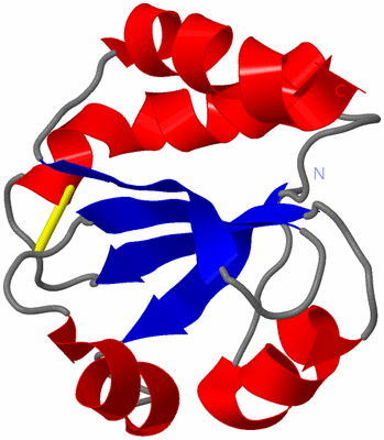 Image NMR Structure - model 1