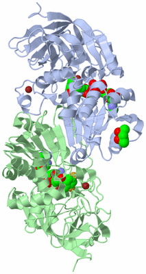 Image Asym./Biol. Unit