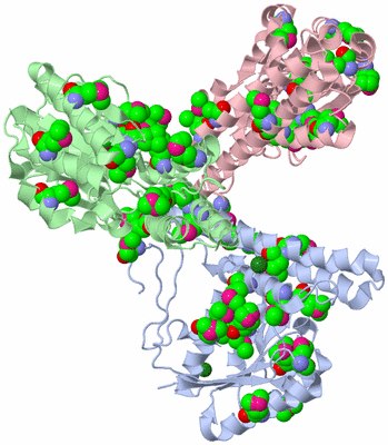 Image Asymmetric Unit