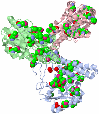 Image Asym. Unit - sites