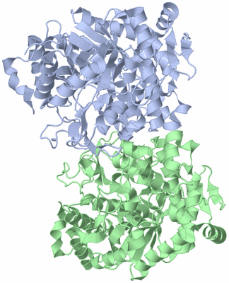 Image Asymmetric Unit