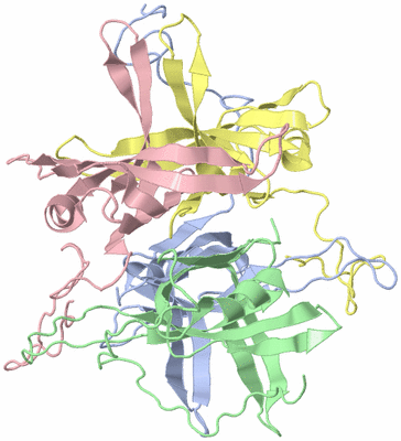 Image Asym./Biol. Unit