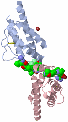 Image Biological Unit 1