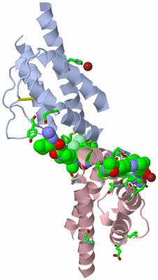 Image Biol. Unit 1 - sites