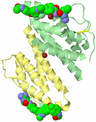 Image Biological Unit 2