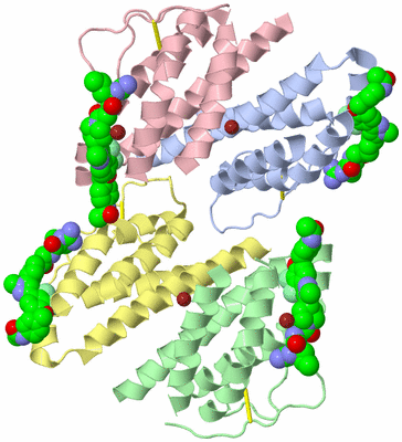 Image Biological Unit 3