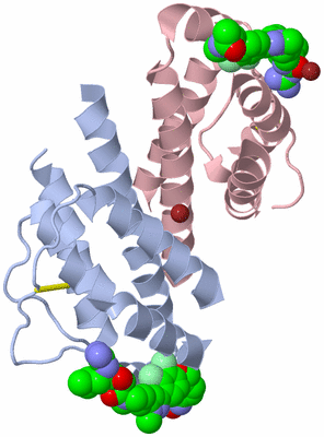 Image Biological Unit 4