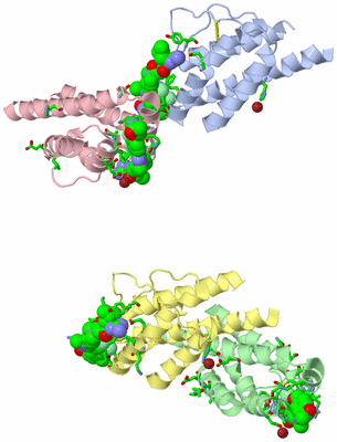 Image Asym. Unit - sites