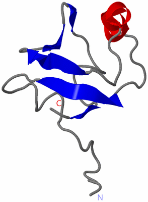 Image NMR Structure - model 1