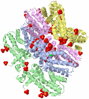 Image Biological Unit 10