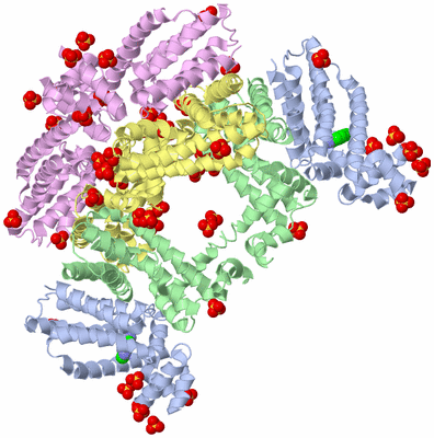 Image Biological Unit 11