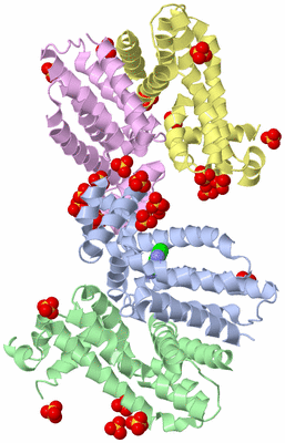 Image Biological Unit 12