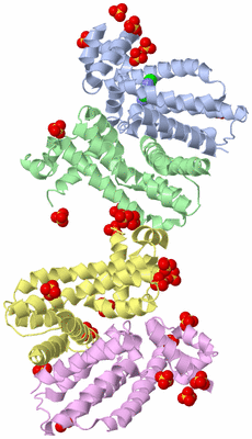 Image Biological Unit 13