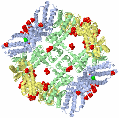 Image Biological Unit 14