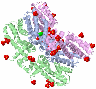 Image Biological Unit 15