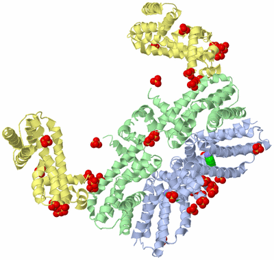 Image Biological Unit 16